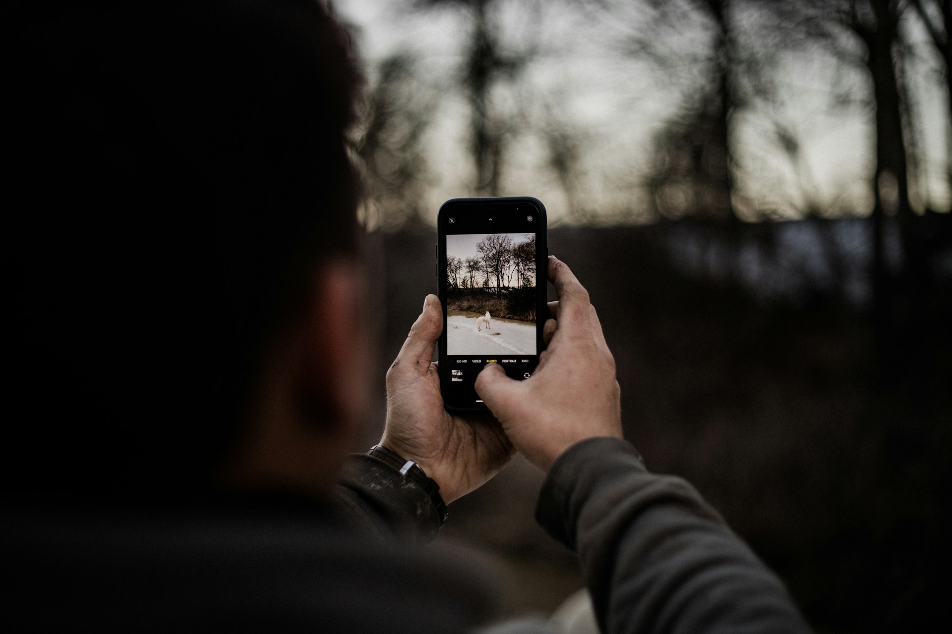Social Media Reels